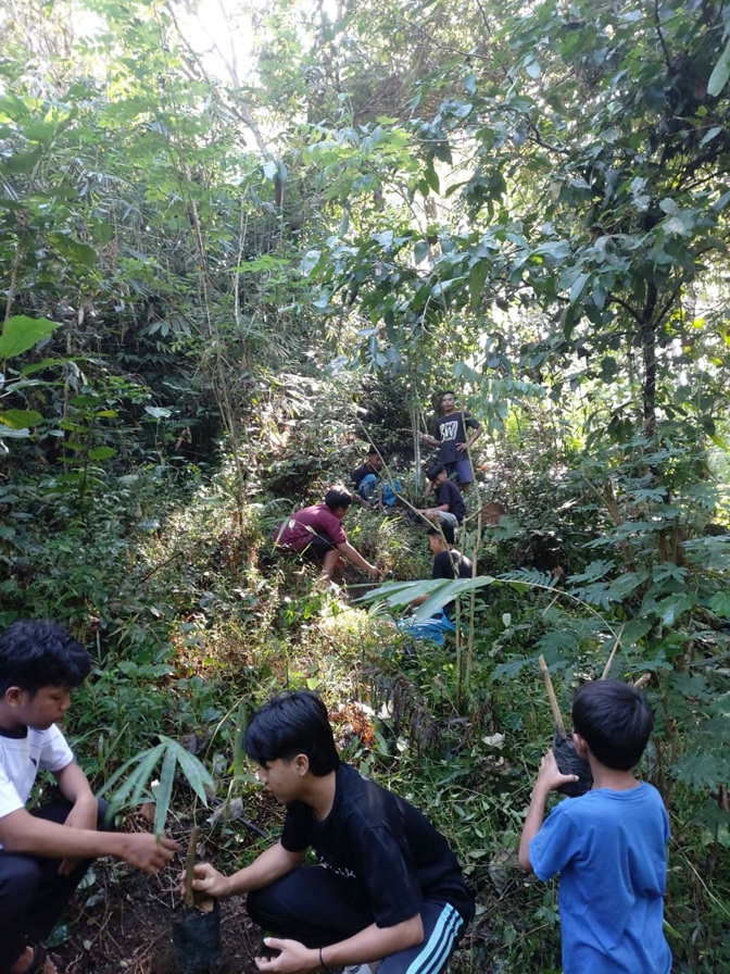 program 4
