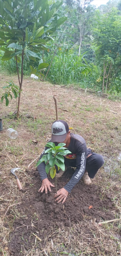 Environmental Restoration